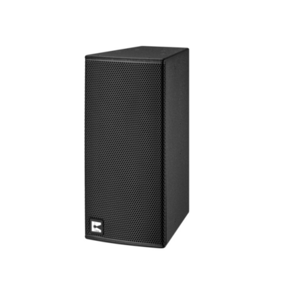 Y10D 双十寸点声源专业扬声器