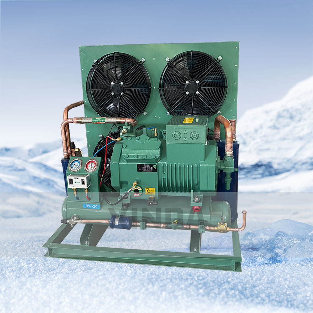 10HP Low-temperature -18°C Air-Cooled Condensing Unit with Chinese or Bitzer Compressors