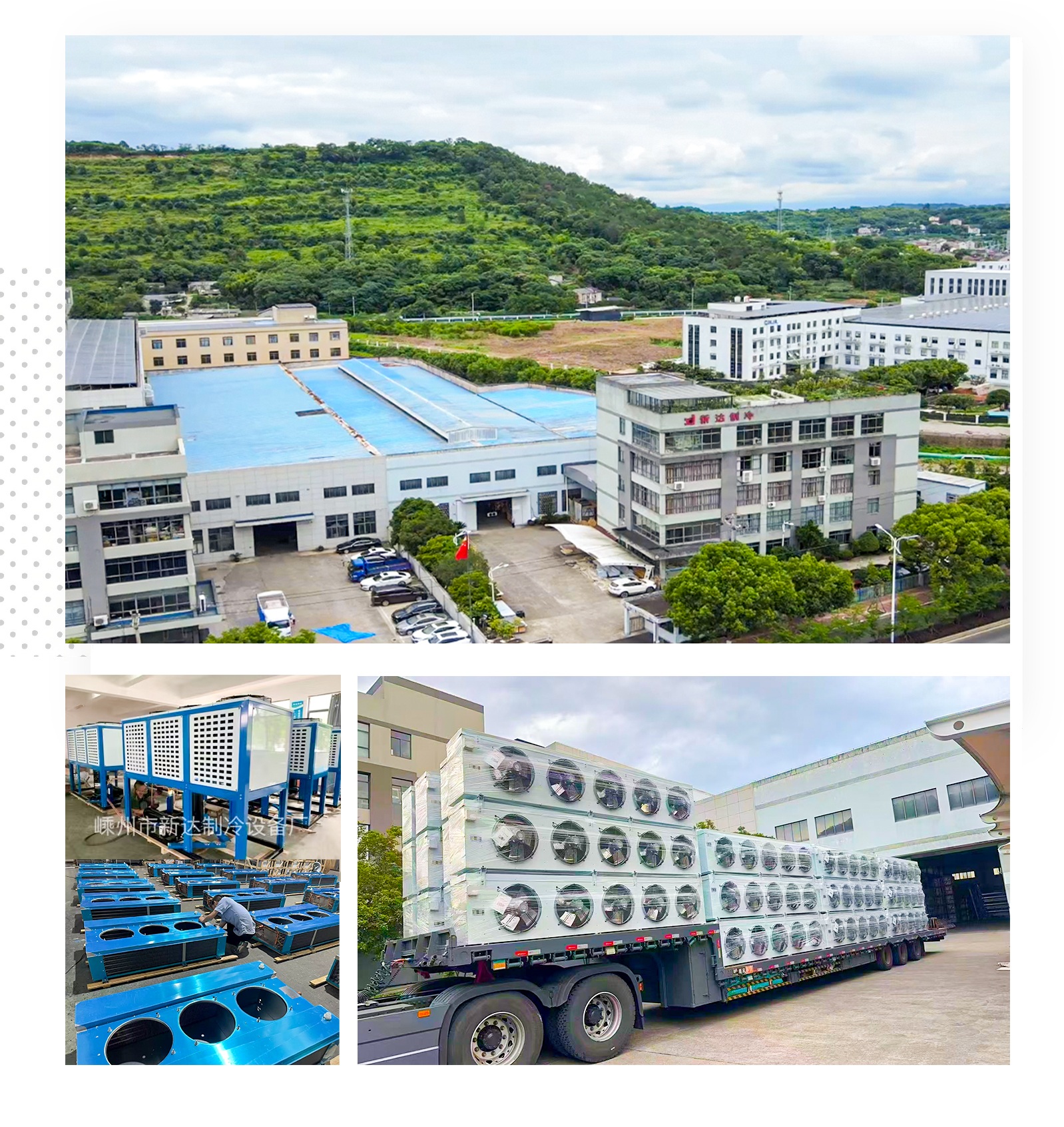 Professional Manufacturer of Cold Room Air Coolers, Refrigeration Condensers & Condensing Units