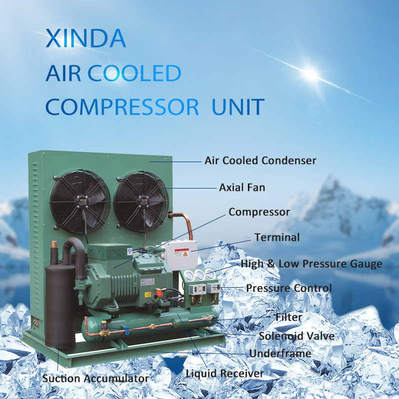 10HP Low-temperature -18°C Air-Cooled Condensing Unit with Chinese or Bitzer Compressors
