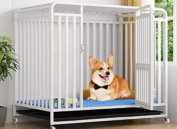 Complete Buying Guide for Household Wrought Iron Dog Crates