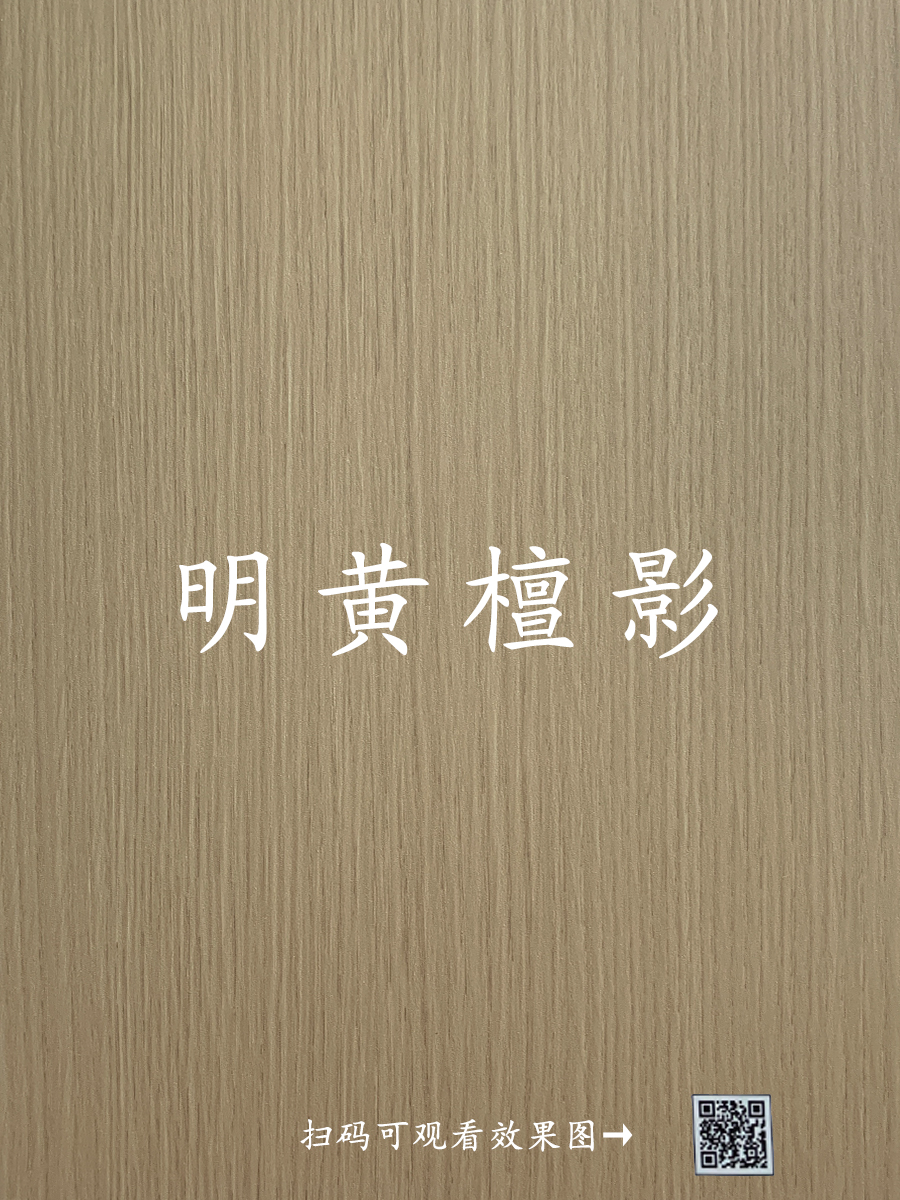 明黄檀影