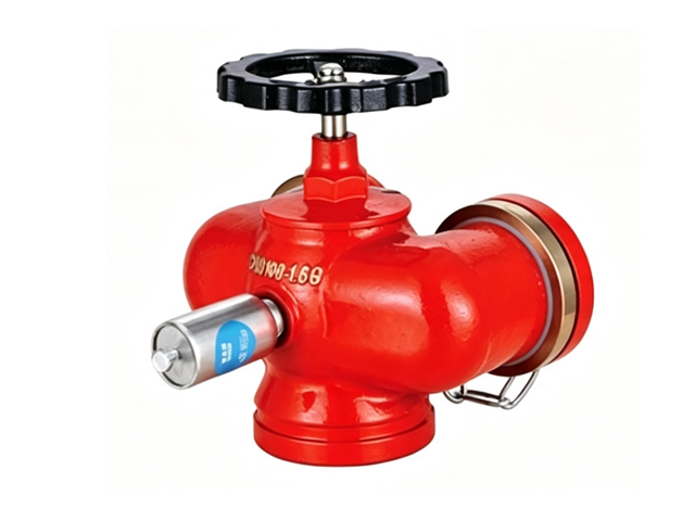 SQD100-1.6G多用式消防水泵接合器