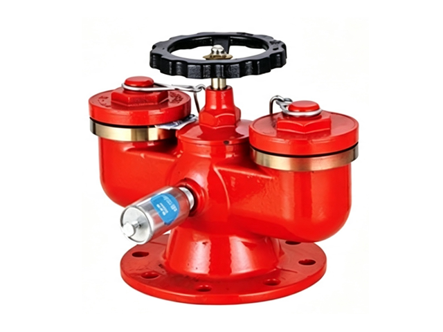 SQD100-1.6A多用式消防水泵接合器