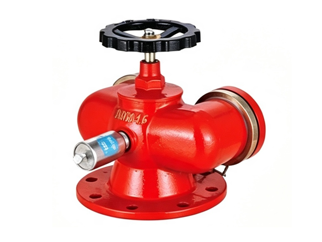 SQD100-1.6多用式消防水泵接合器