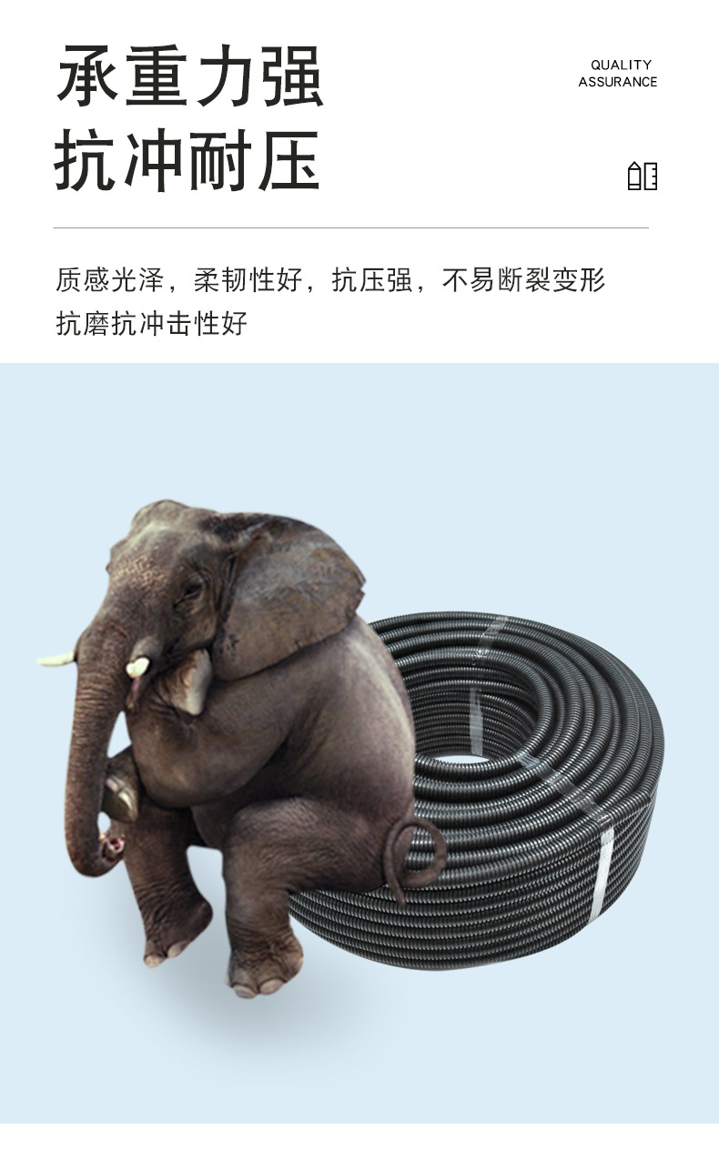 01-详情4