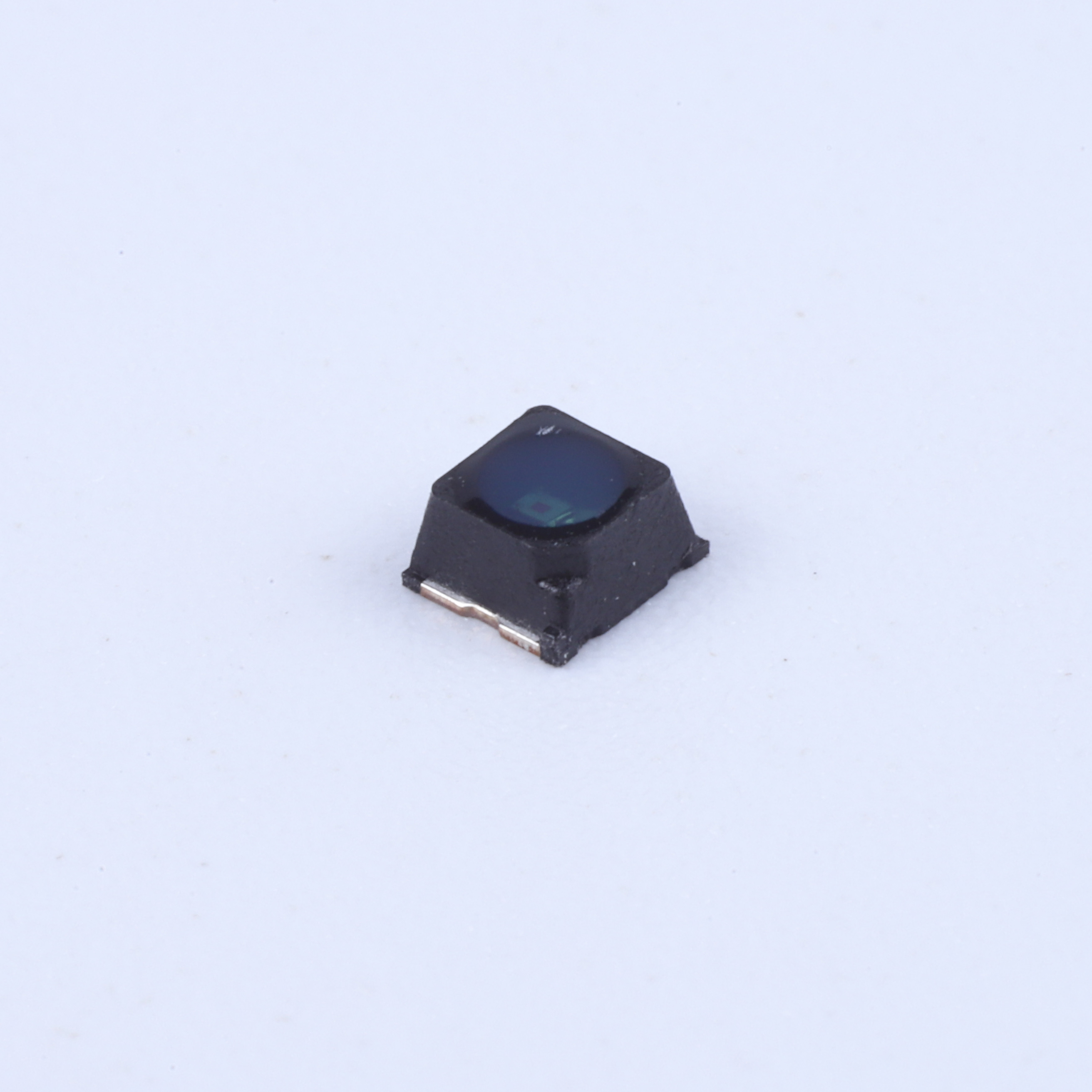 1313PTB
