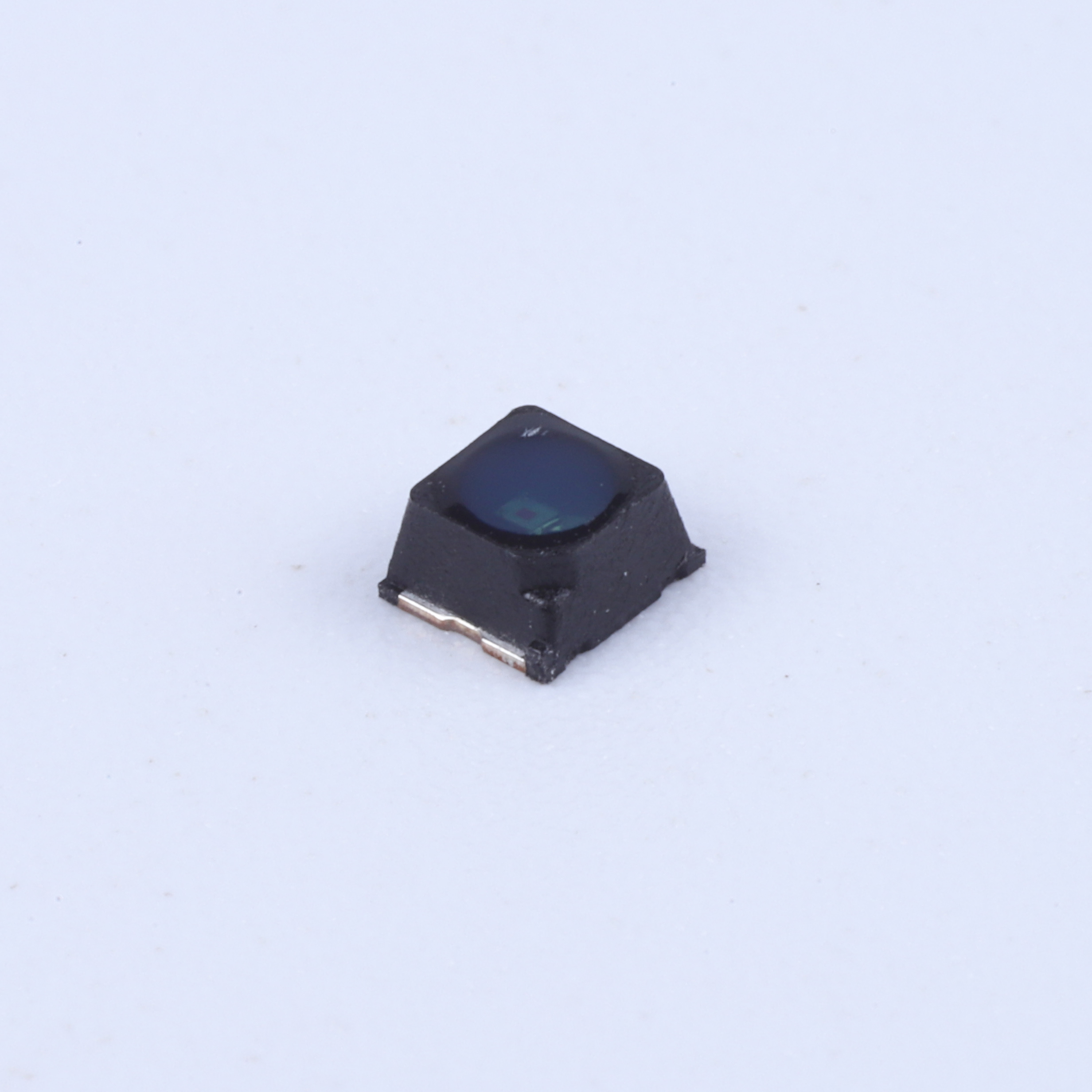1313PTB