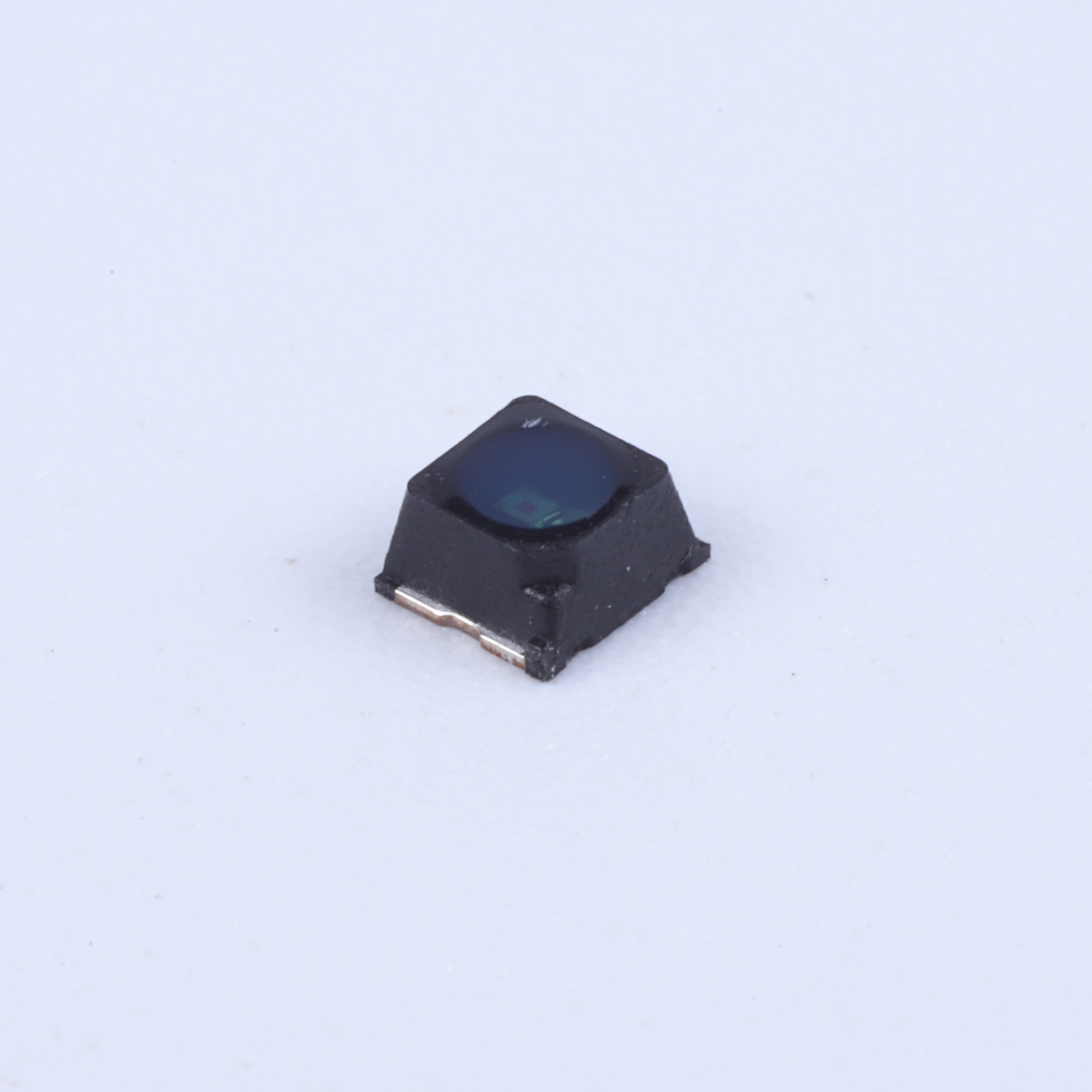 1313PTB