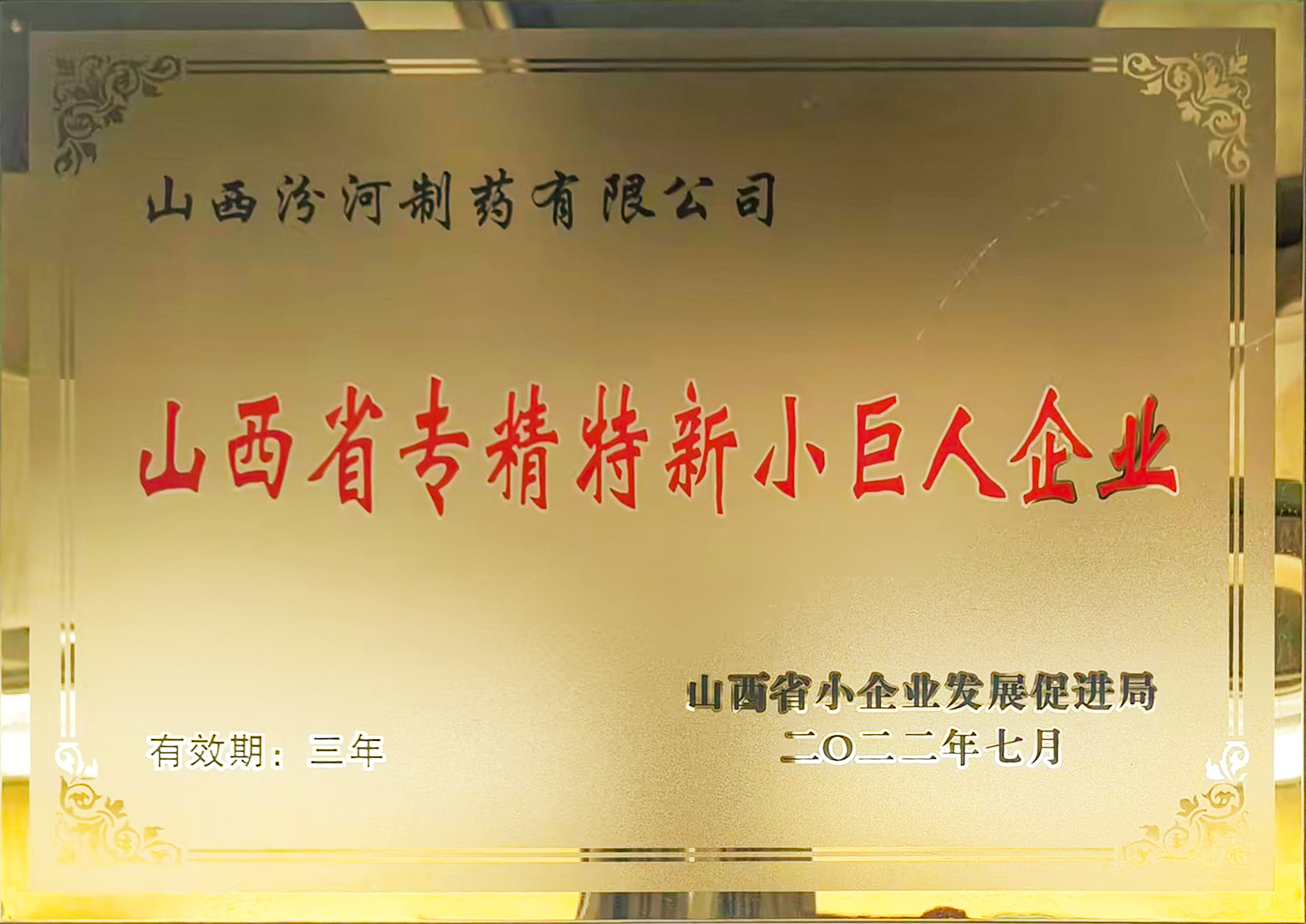 山西省专精特新小巨人企业