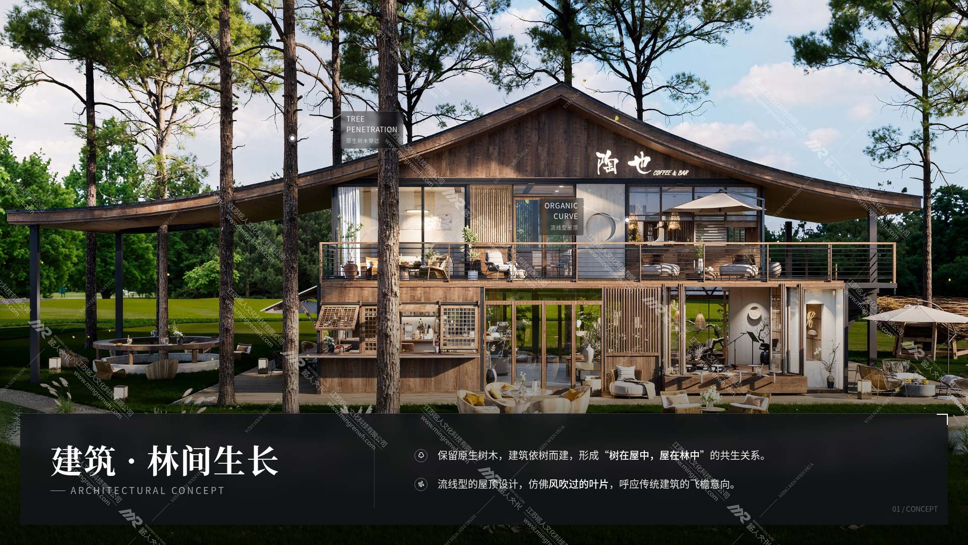 4建筑&middot;林间生长