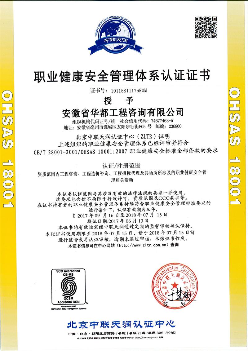 04职业健康安全管理体系