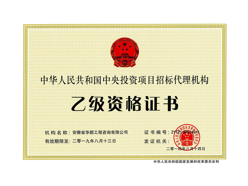 中央投资01