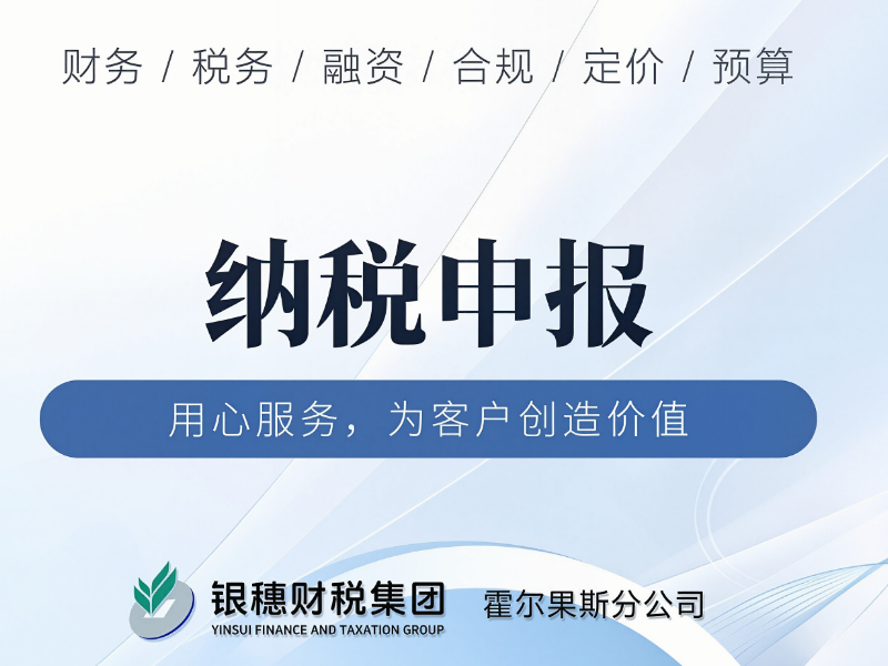 纳税申报