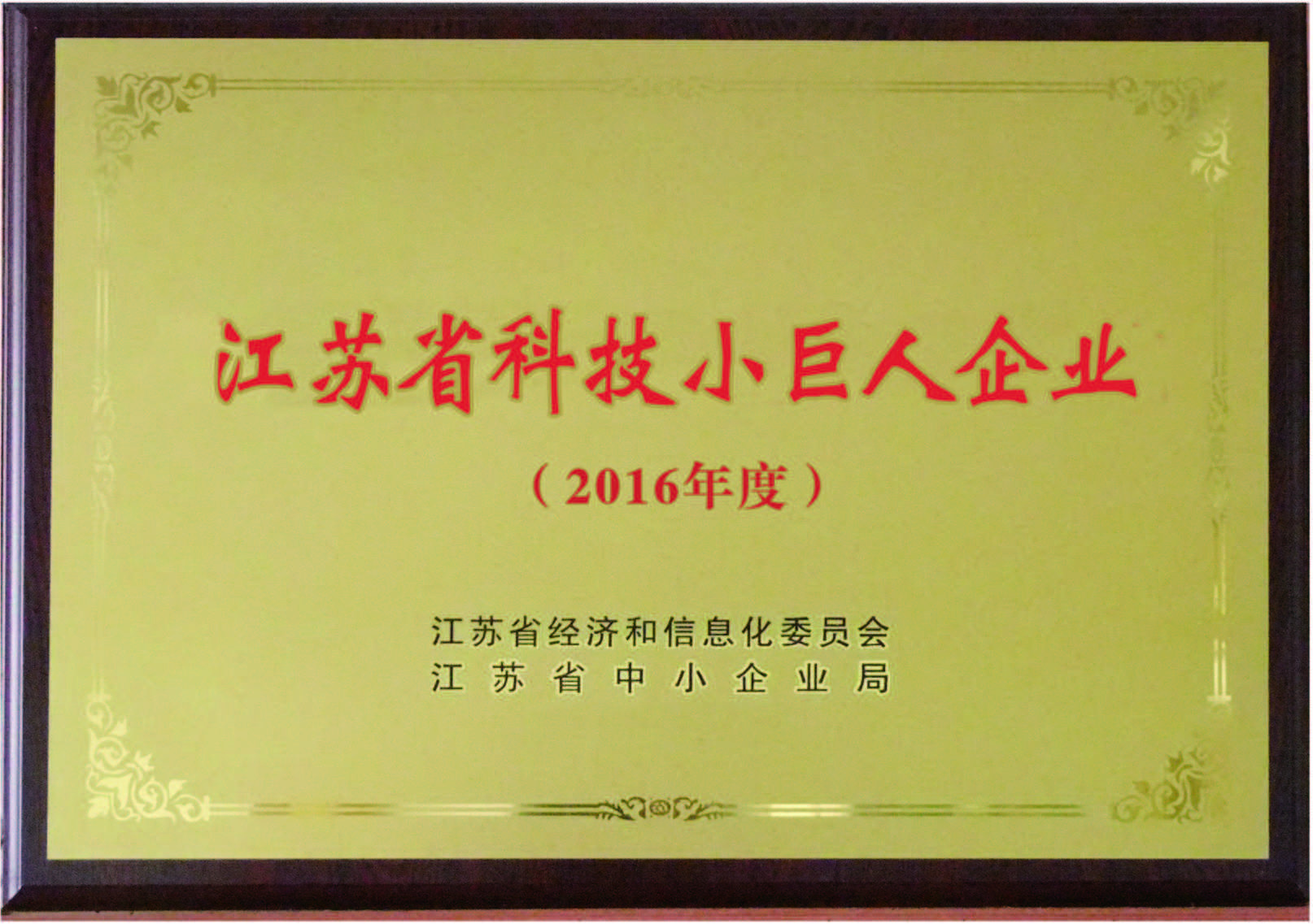 江苏省科技小巨人企业（2016年度）