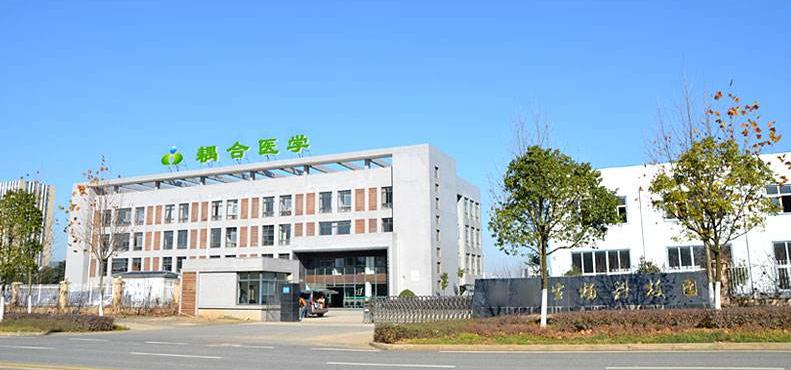 图片9