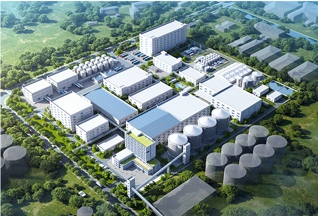 图片9