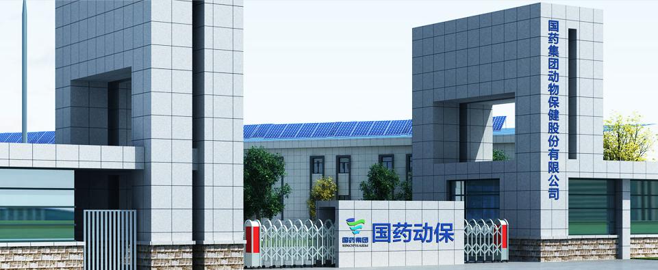 图片5