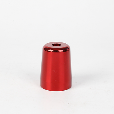 Plunger