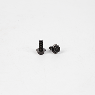 Flanged Screw