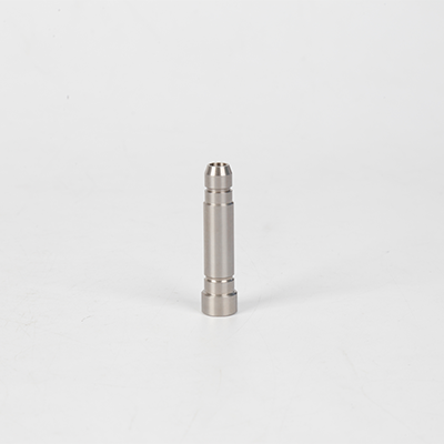 Plunger