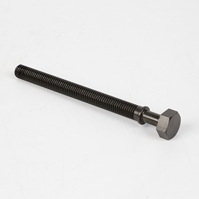 Bolt