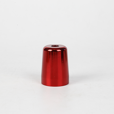 Plunger