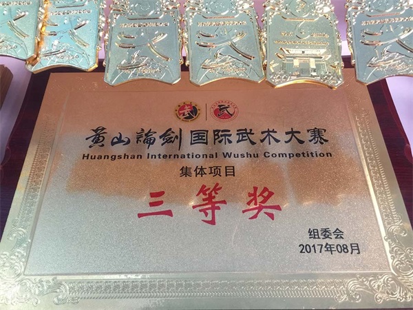 04华山论剑国际武术比赛三等奖