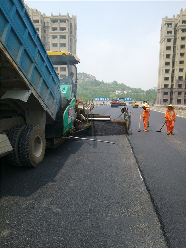 观湖路 (1)