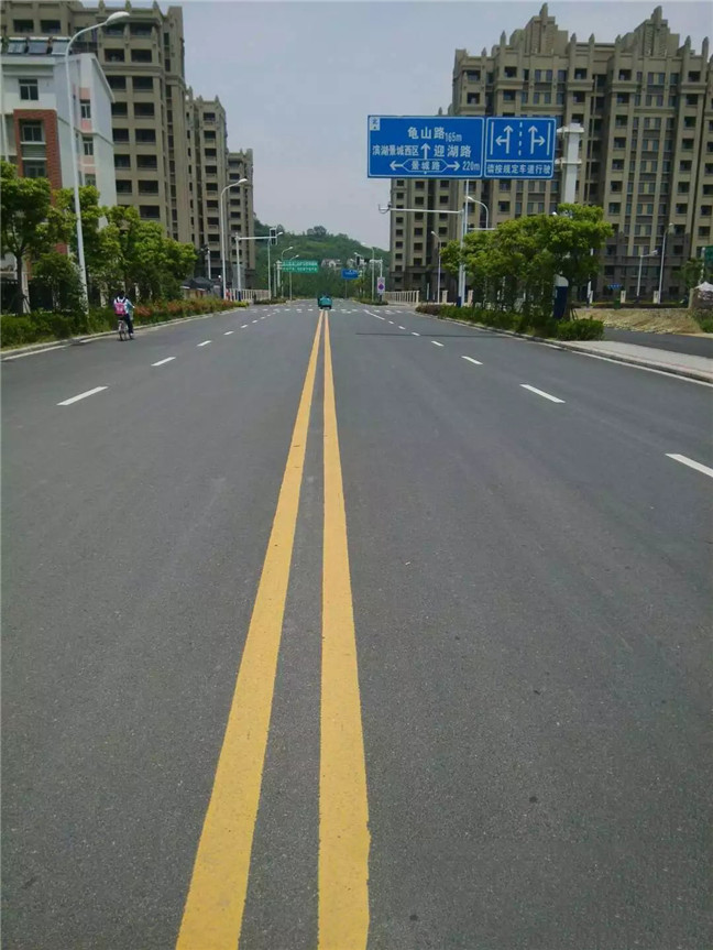 观湖路 (2)