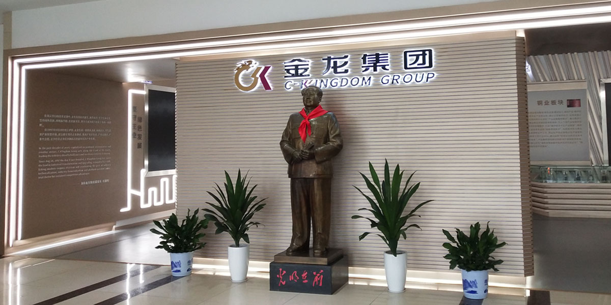 首页案例展示-金龙集团
