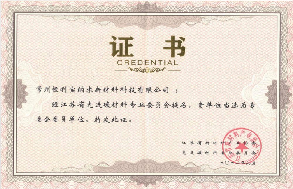 江苏省先进碳材料专业委员会委员.png