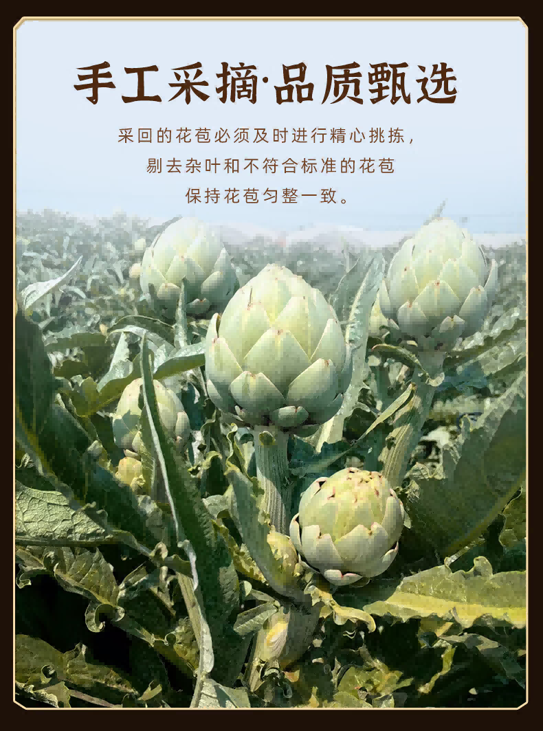 礼盒装朝鲜蓟茶