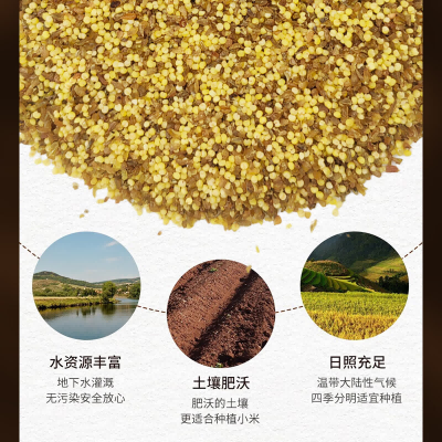 苦荞小米粥
