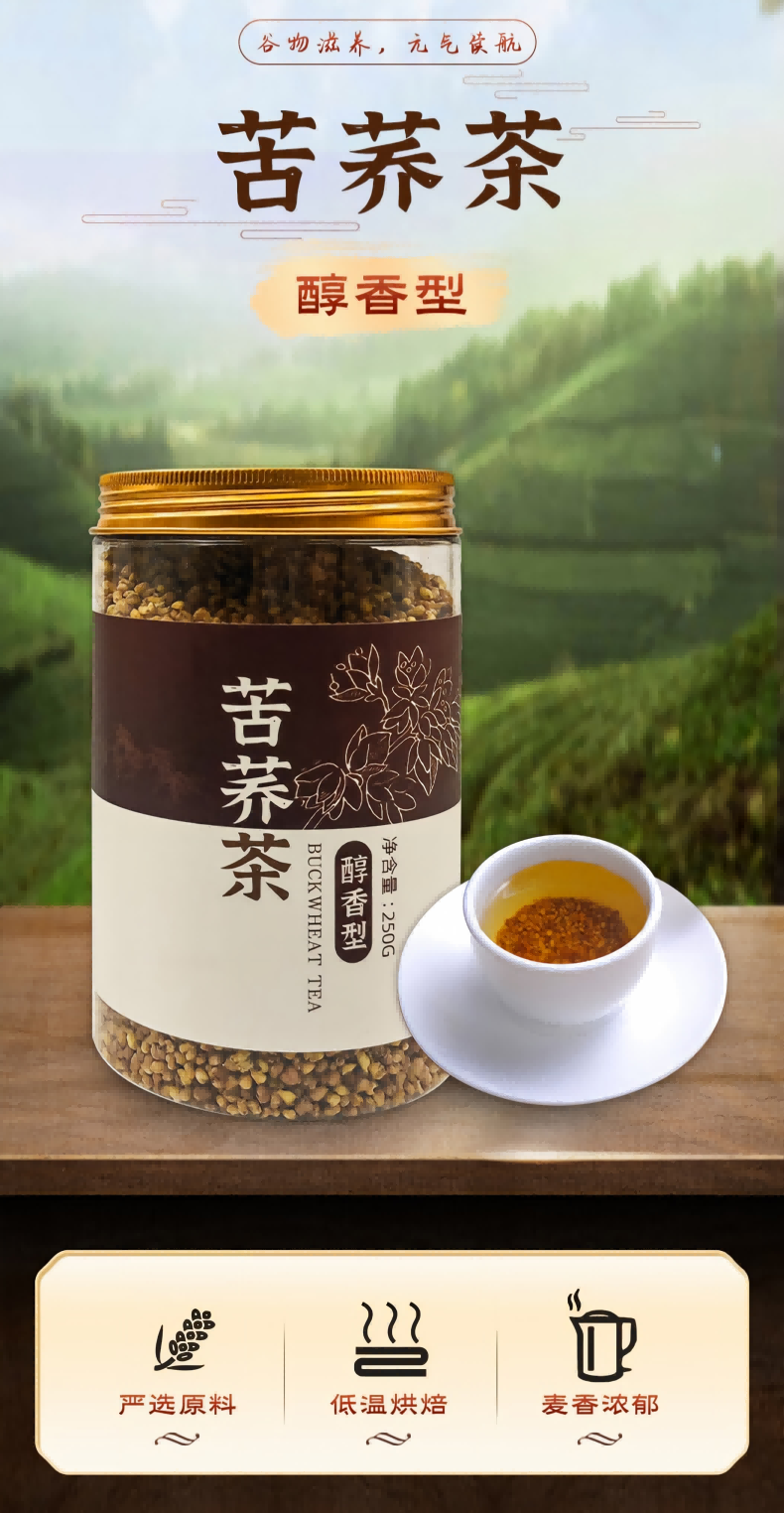 醇香苦荞茶