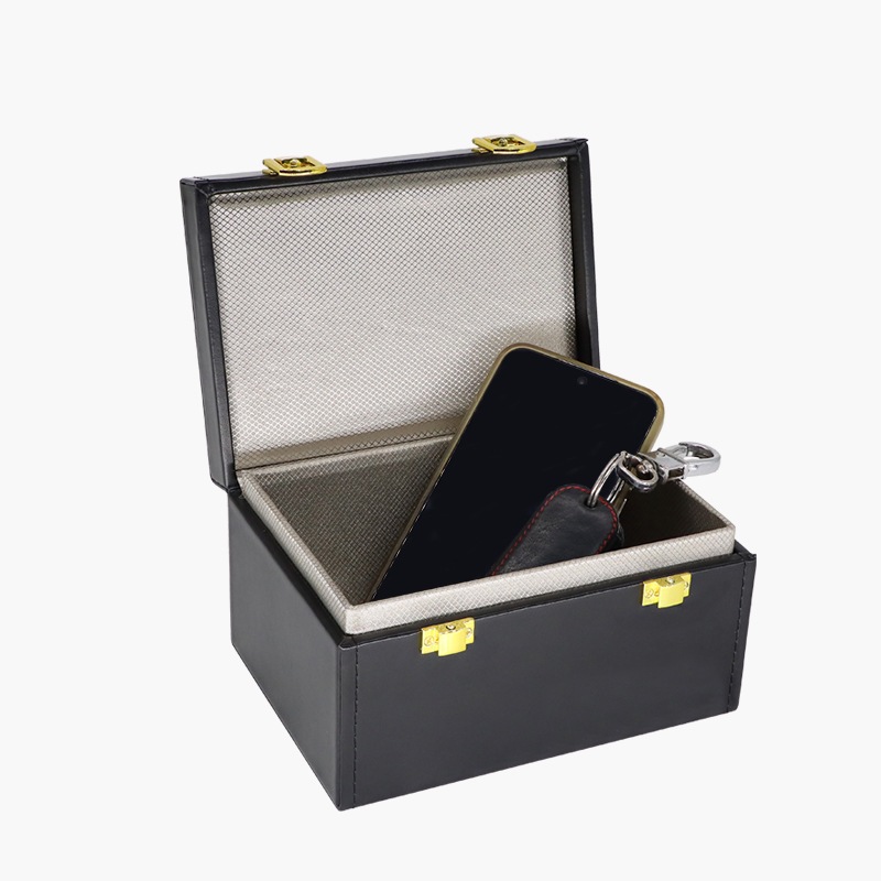 Double Buckle Faraday Boxes