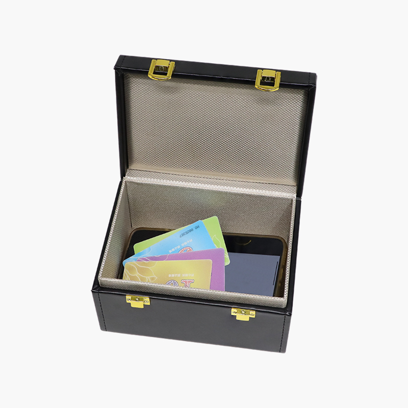 Double Buckle Faraday Boxes
