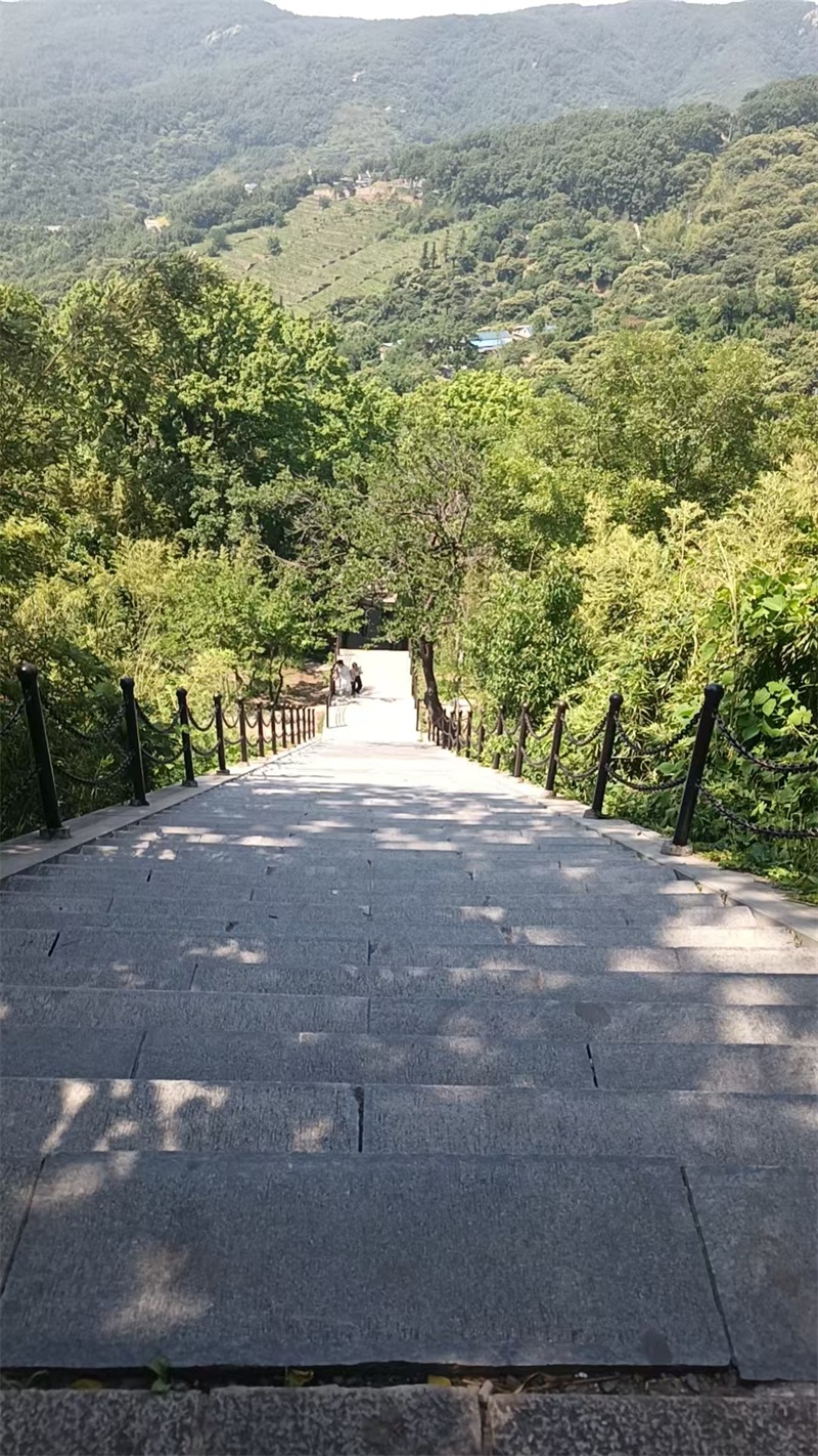 2026年公司团建旅游