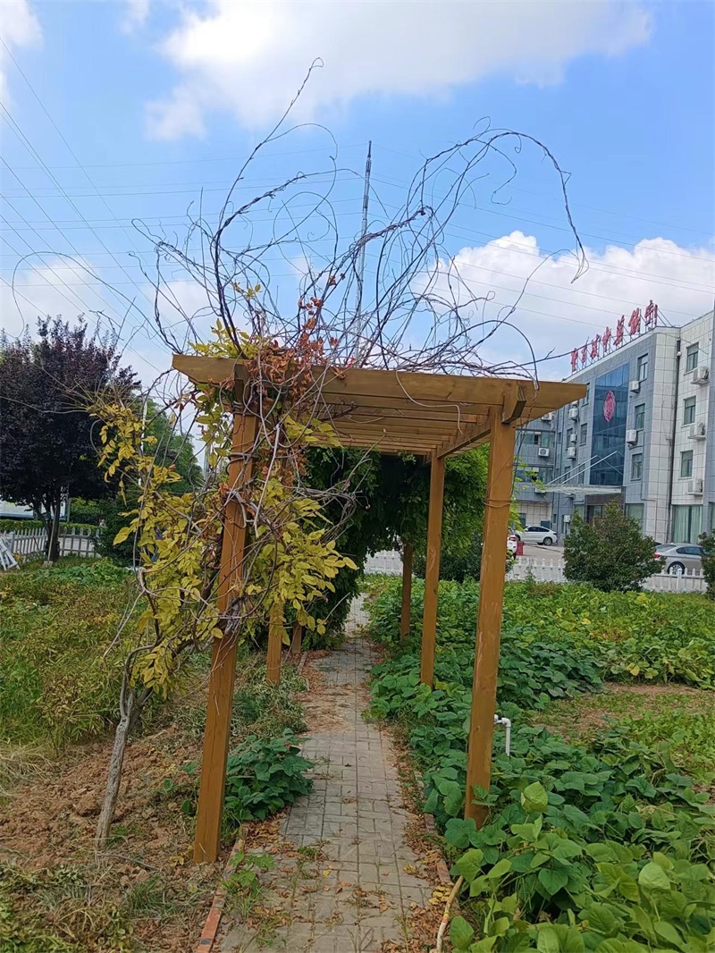 05-厂容厂貌