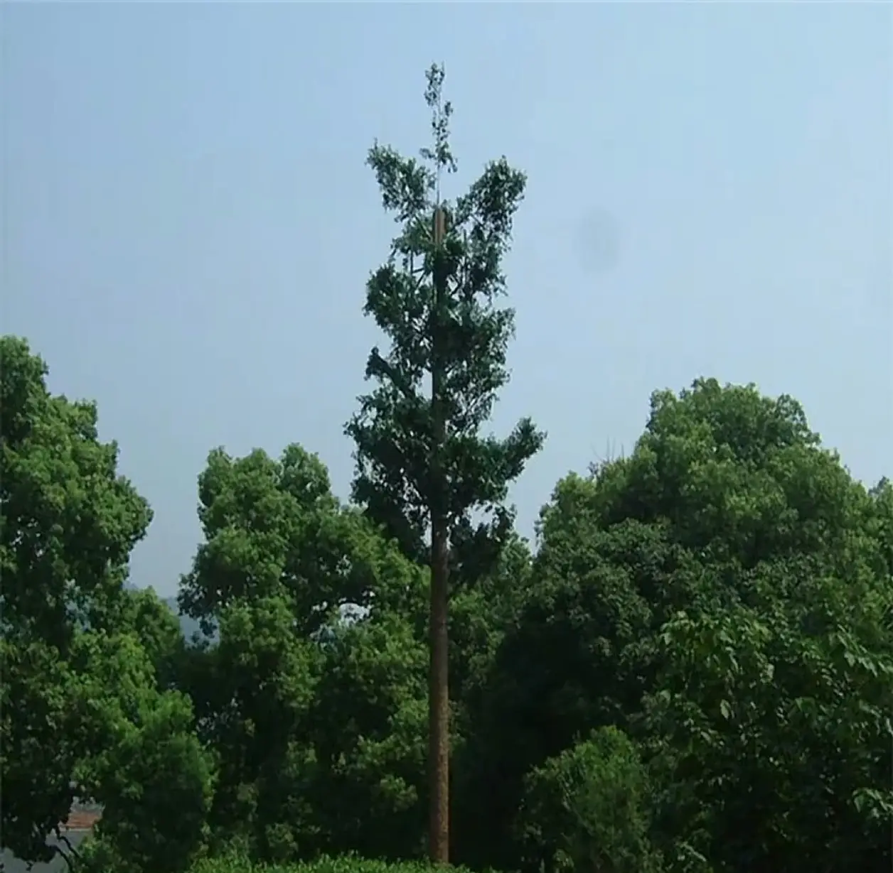 Bionic Tree Tower