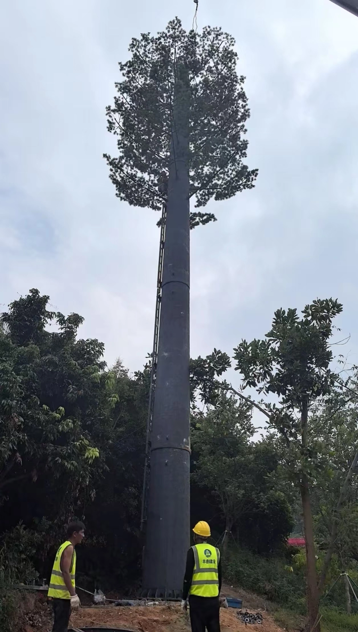 Is a Bionic Tree Tower Worth It? 3 Scenarios Tell the Answer