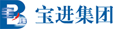 宝进集团