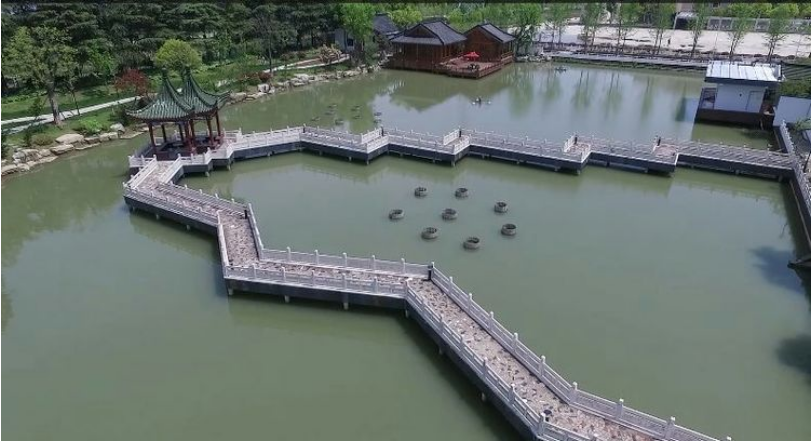 10016