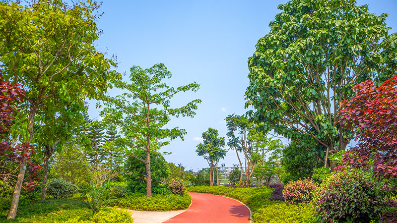 市民公园
