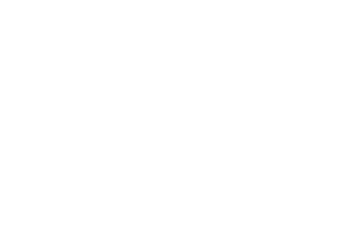 QSI Logo