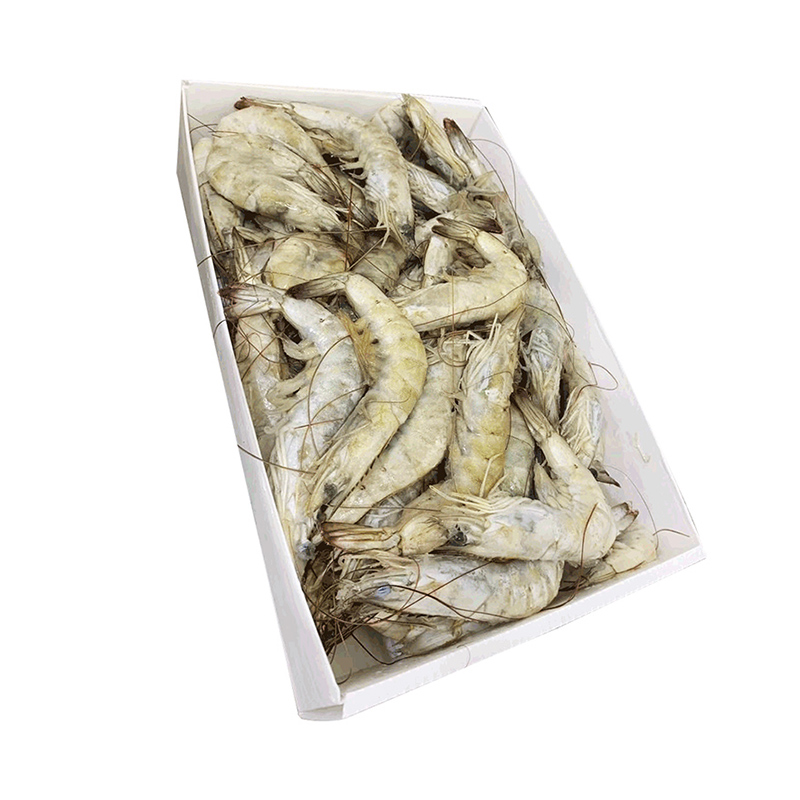 Durable Customized Corrugated Plastic Seafood Boxes