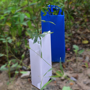 4-Custom-plastic-tree-tubes