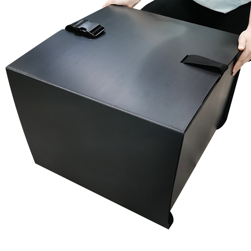 Hot Selling Correx PP Corrugated Pizza Boxes