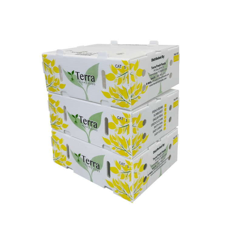 Custom PP Corrugated Boxes