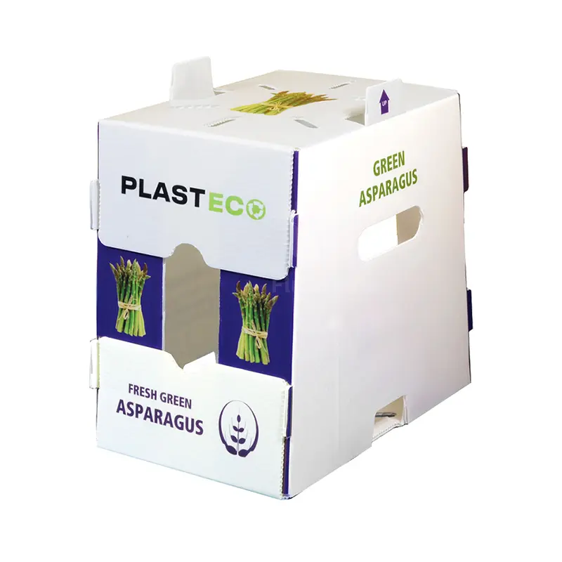 Customized Pattern Packaging Vegatables Corrugated Plastic Boxes